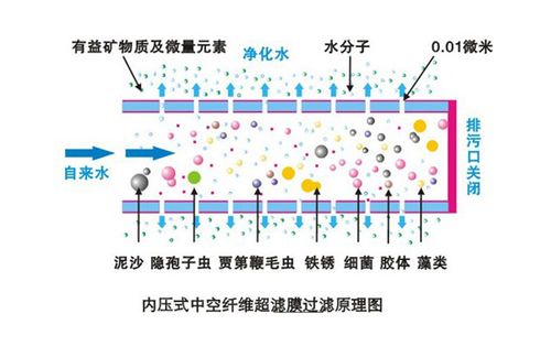 超濾原理.jpeg 超濾原理.jpeg